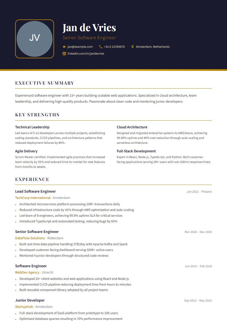 Executive CV template preview
